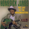 HOMESICK JAMES - LAST OF THE BROOMDUSTERS CD