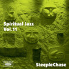 SPIRITUAL JAZZ 11: STEEPLECHASE / VARIOUS - SPIRITUAL JAZZ 11: STEEPLECHASE / VARIOUS CD