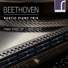 BEETHOVEN / RAUTIO PIANO TRIO - PIANO TRIOS 1 1 & 2 CD