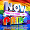NOW THAT'S WHAT I CALL PRIDE / VARIOUS - NOW THAT'S WHAT I CALL PRIDE / VARIOUS CD