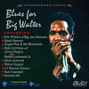 BLUES FOR BIG WALTER / VARIOUS - BLUES FOR BIG WALTER / VARIOUS CD
