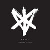 EIGHTEEN VISIONS - XVIII VINYL LP