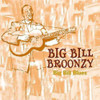 BROONZY,BIG BILL - BIG BILL BLUES CD