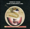 GUIDED BY VOICES - CLASS CLOWN SPOTS A UFO CD