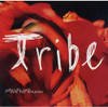 ROTH,GABRIELLE & MIRRORS - TRIBE CD