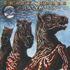 CRAZY HORSE - CRAZY MOON CD