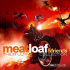 MEAT LOAF & FRIENDS - THEIR ULTIMATE COLLECTION VINYL LP