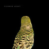 BIRD,ANDREW - ARMCHAIR APOCRYPHA VINYL LP