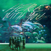 TAHITI 80 - HERE WITH YOU CD