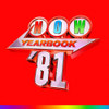 NOW YEARBOOK 1981 / VARIOUS - NOW YEARBOOK 1981 / VARIOUS CD