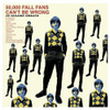 FALL - 50,000 FALL FANS CAN'T BE WRONG: 39 GOLDEN GREATS CD