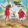 SQUIRREL HILLBILLIES - GOODY SHOES CD