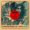 REVUE PRESENTS SYMPHONIES OF LOVE: 1980-1985 / VAR - REVUE PRESENTS SYMPHONIES OF LOVE: 1980-1985 / VAR CD