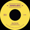 LEE,SHAWN - KISS THE SKY 7"