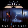 SHY - BRAVE THE STORM CD