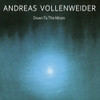 VOLLENWEIDER,ANDREAS - DOWN TO THE MOON CD