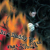 BIG DADDY 'O' - WHAT YOU GOTTA GO THROUGH CD