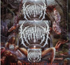 KRAANIUM - ART OF FEMALE SODOMY CD