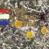 STONE ROSES - STONE ROSES VINYL LP