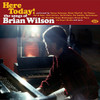 HERE TODAY SONGS OF BRIAN WILSON / VARIOUS - HERE TODAY SONGS OF BRIAN WILSON / VARIOUS CD