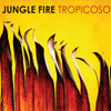 JUNGLE FIRE - TROPICOSO VINYL LP