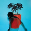 LOCAL NATIVES - SUNLIT YOUTH VINYL LP