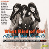 WHAT KIND OF GIRL (DO YOU THINK I AM) / VARIOUS - WHAT KIND OF GIRL (DO YOU THINK I AM) / VARIOUS CD