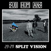 SUBHUMANS - 29:29 SPLIT VISION VINYL LP