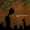 LIARS ACADEMY - DEMONS VINYL LP