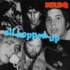 NRBQ - ALL HOPPED UP CD