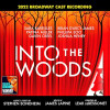 SONDHEIM,STEVEN / BAREILLES,SARA - INTO THE WOODS - O.B.C.R. VINYL LP