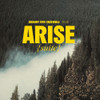 FAYE,AMAURY ENSEMBLE - ARISE (SUITE) CD