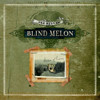 BLIND MELON - BEST OF BLIND MELON CD