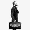 JAMES,GAVIN - ONLY TICKET HOME VINYL LP