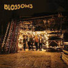 BLOSSOMS - BLOSSOMS VINYL LP