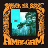 AMALGAM - PRAYER FOR PEACE VINYL LP