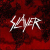 SLAYER - WORLD PAINTED BLOOD VINYL LP