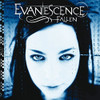 EVANESCENCE - FALLEN VINYL LP