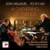 WILLIAMS,JOHN / MA,YO-YO MA / NY PHILHARMONIC - GATHERING OF FRIENDS VINYL LP