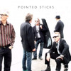 POINTED STICKS - POINTED STICKS VINYL LP