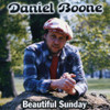 BOONE,DANIEL - BEAUTIFUL SUNDAY / GREATEST HITS CD