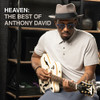 DAVID,ANTHONY - HEAVEN: THE BEST OF ANTHONY DAVID CD