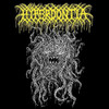 HYPERDONTIA - VESSEL FORLORN VINYL LP