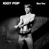 POP,IGGY - RARE TRAX CD