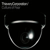 THIEVERY CORPORATION - CULTURE OF FEAR CD