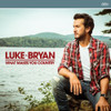 BRYAN,LUKE - WHAT MAKES YOU COUNTRY CD