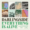 DARLINGSIDE - EVERYTHING IS ALIVE VINYL LP