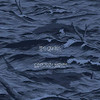 DODOS - CERTAINTY WAVES CD