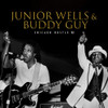 WELLS,JUNIOR / GUY,BUDDY - CHICAGO HUSTLE '82 CD