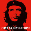 VIVA LA REVOLUCION / VARIOUS - VIVA LA REVOLUCION / VARIOUS CD